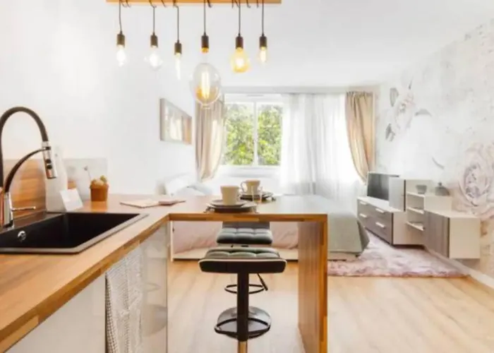 Grand Studio*victor Hugo*centre